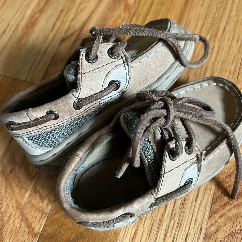 Sperrys size 6